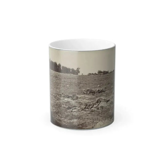 Battlefield of Gaines' Mill, Va. (U.S. Civil War) Color Changing Coffee Mug 11oz Default Title 11oz - Go Mug Yourself