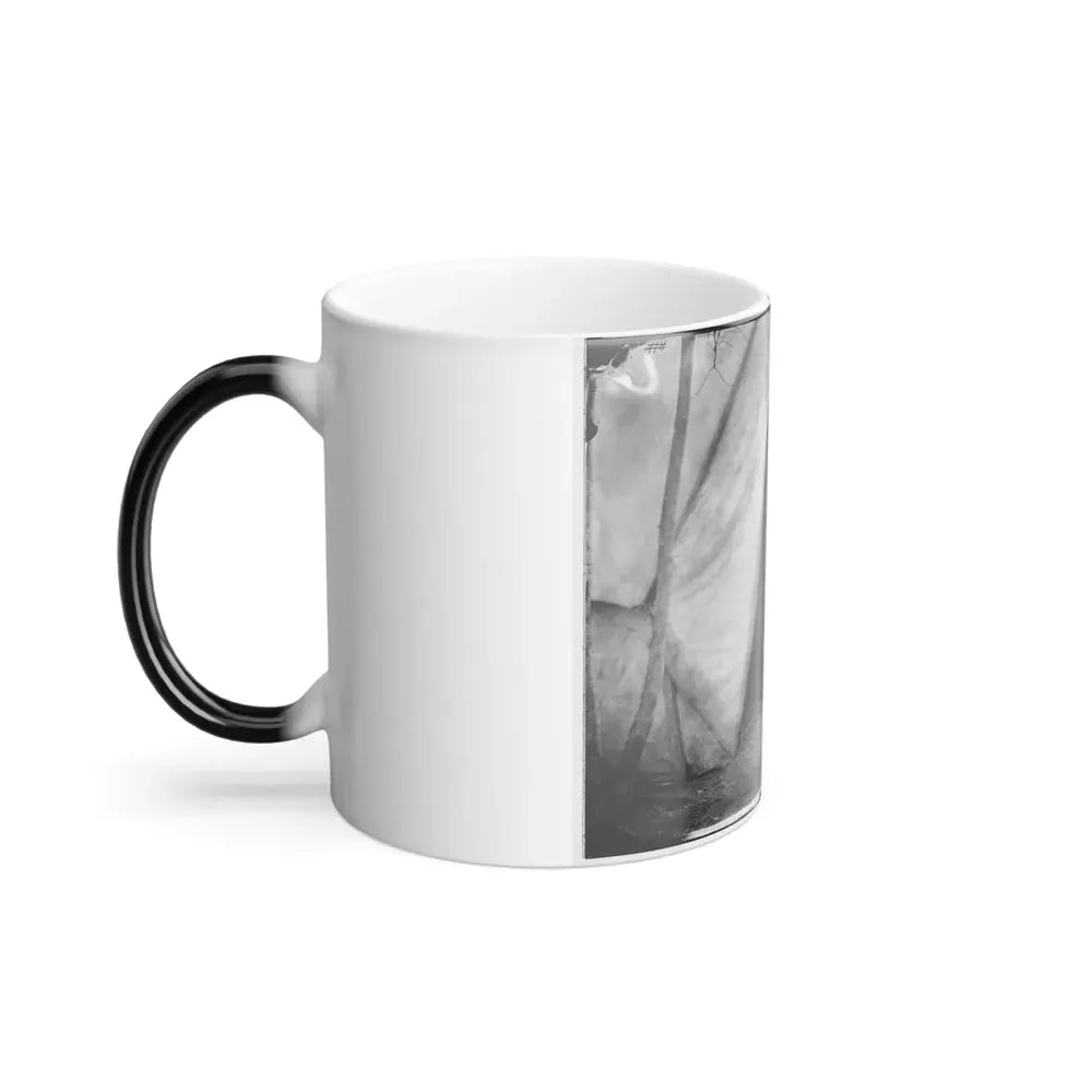 Bealeton, Virginia. Gen. William H. French Standing in Front of Tent (U.S. Civil War) Color Changing Coffee Mug 11oz - Go Mug Yourself