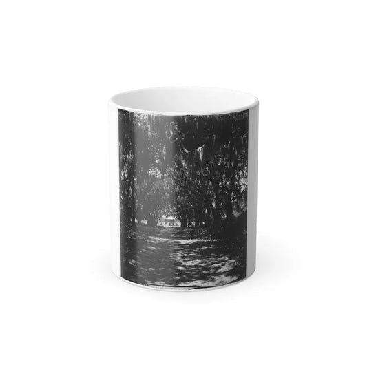 Beaufort, Port Royal Island, South Carolina. Live Oak Avenue Robert B. Rhett's Plantation (U.S. Civil War) Color Changing Coffee Mug 11oz Default Title - Go Mug Yourself
