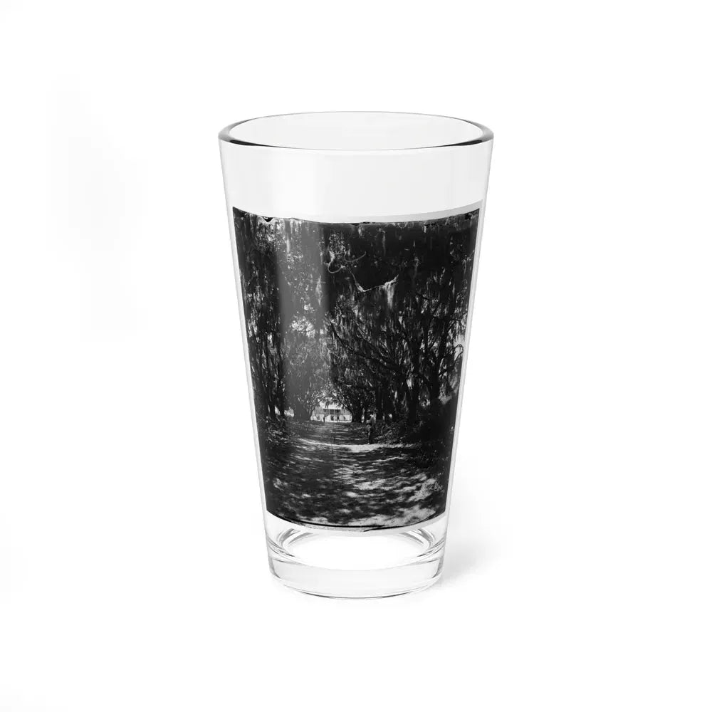 Beaufort, Port Royal Island, South Carolina. Live Oak Avenue Robert B. Rhett's Plantation (U.S. Civil War) Pint Glass 16oz 16oz - Go Mug Yourself