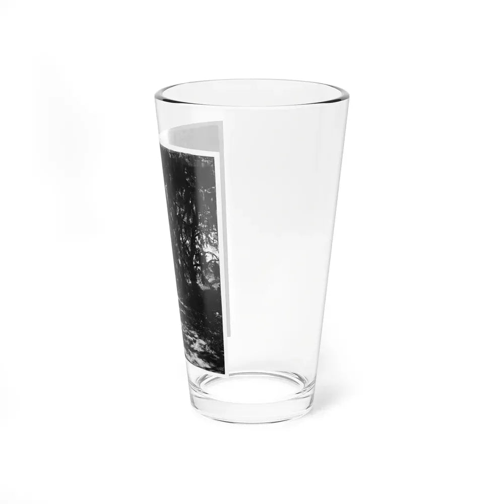 Beaufort, Port Royal Island, South Carolina. Live Oak Avenue Robert B. Rhett's Plantation (U.S. Civil War) Pint Glass 16oz - Go Mug Yourself