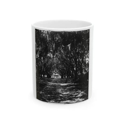 Beaufort, Port Royal Island, South Carolina. Live Oak Avenue Robert B. Rhett's Plantation (U.S. Civil War) White Coffee Mug 11oz - Go Mug Yourself