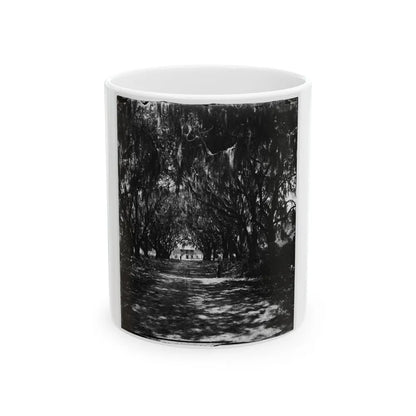 Beaufort, Port Royal Island, South Carolina. Live Oak Avenue Robert B. Rhett's Plantation (U.S. Civil War) White Coffee Mug-11oz-Go Mug Yourself