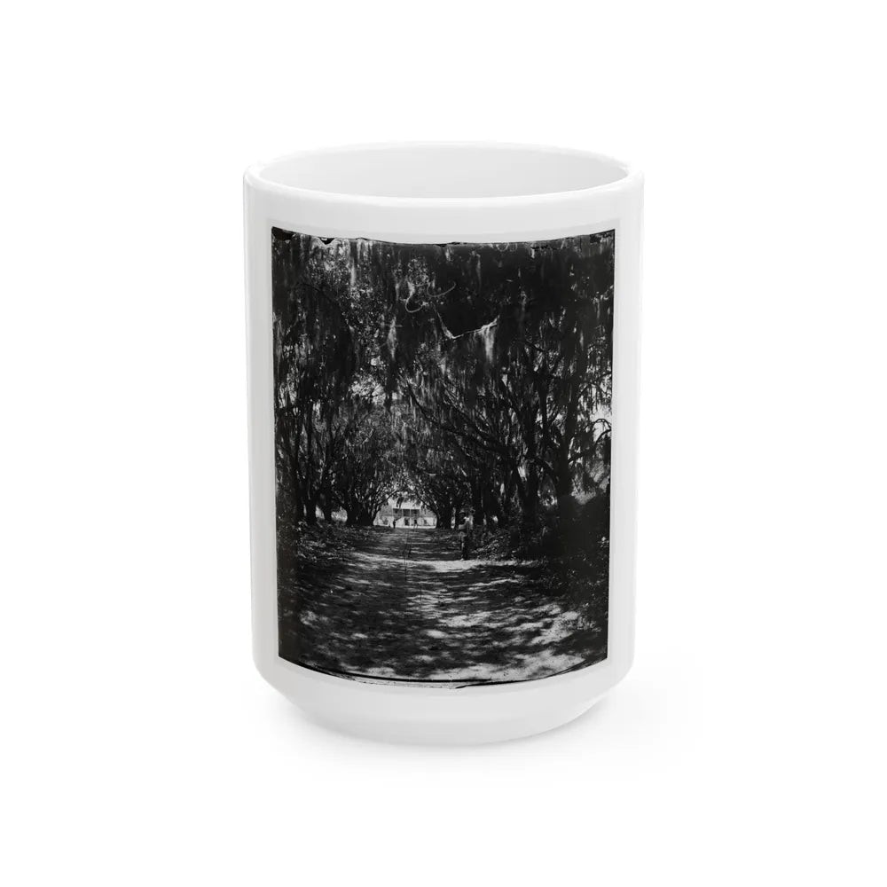 Beaufort, Port Royal Island, South Carolina. Live Oak Avenue Robert B. Rhett's Plantation (U.S. Civil War) White Coffee Mug-15oz-Go Mug Yourself