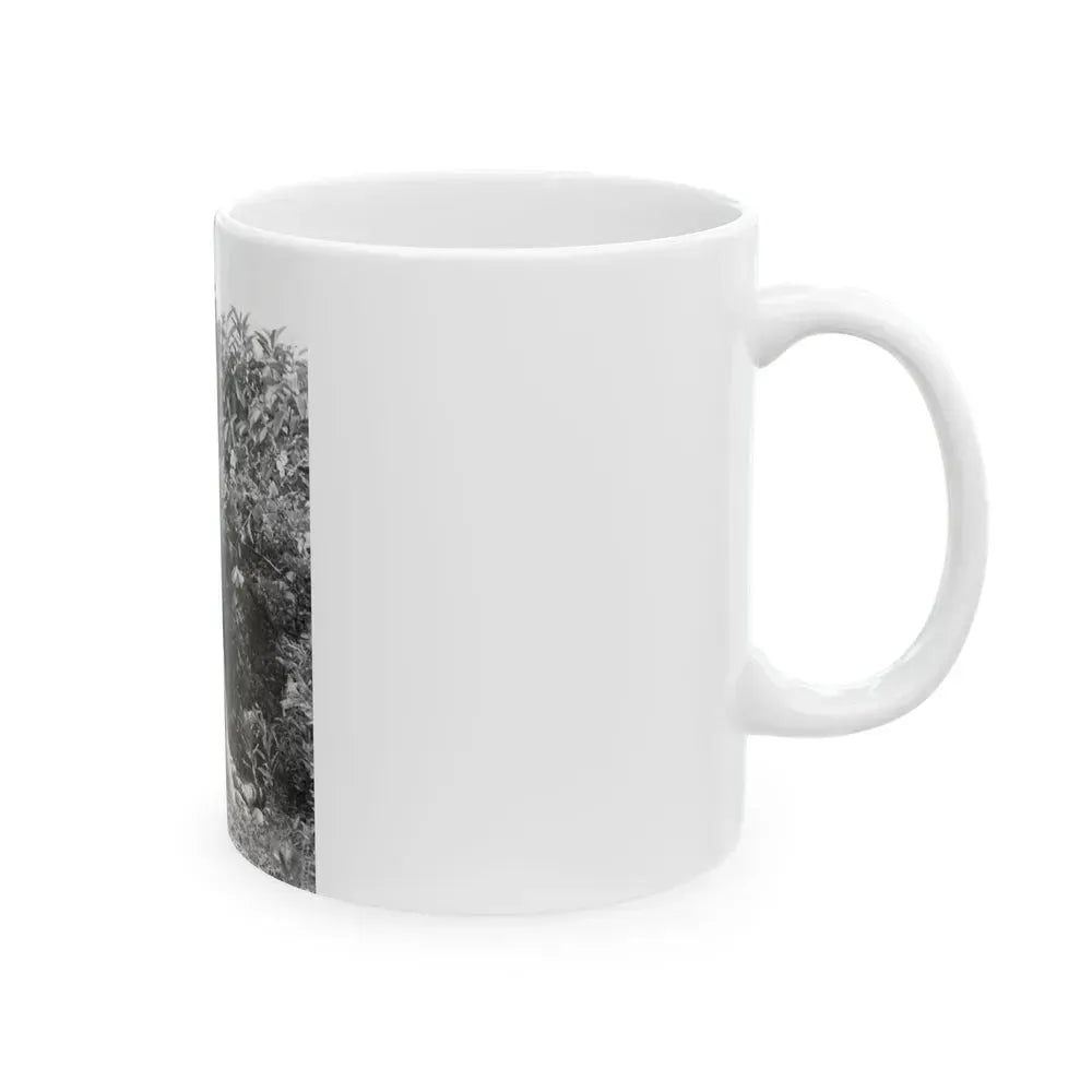 Bettie Page #463 (Vintage Female Icon) White Coffee Mug - Go Mug Yourself