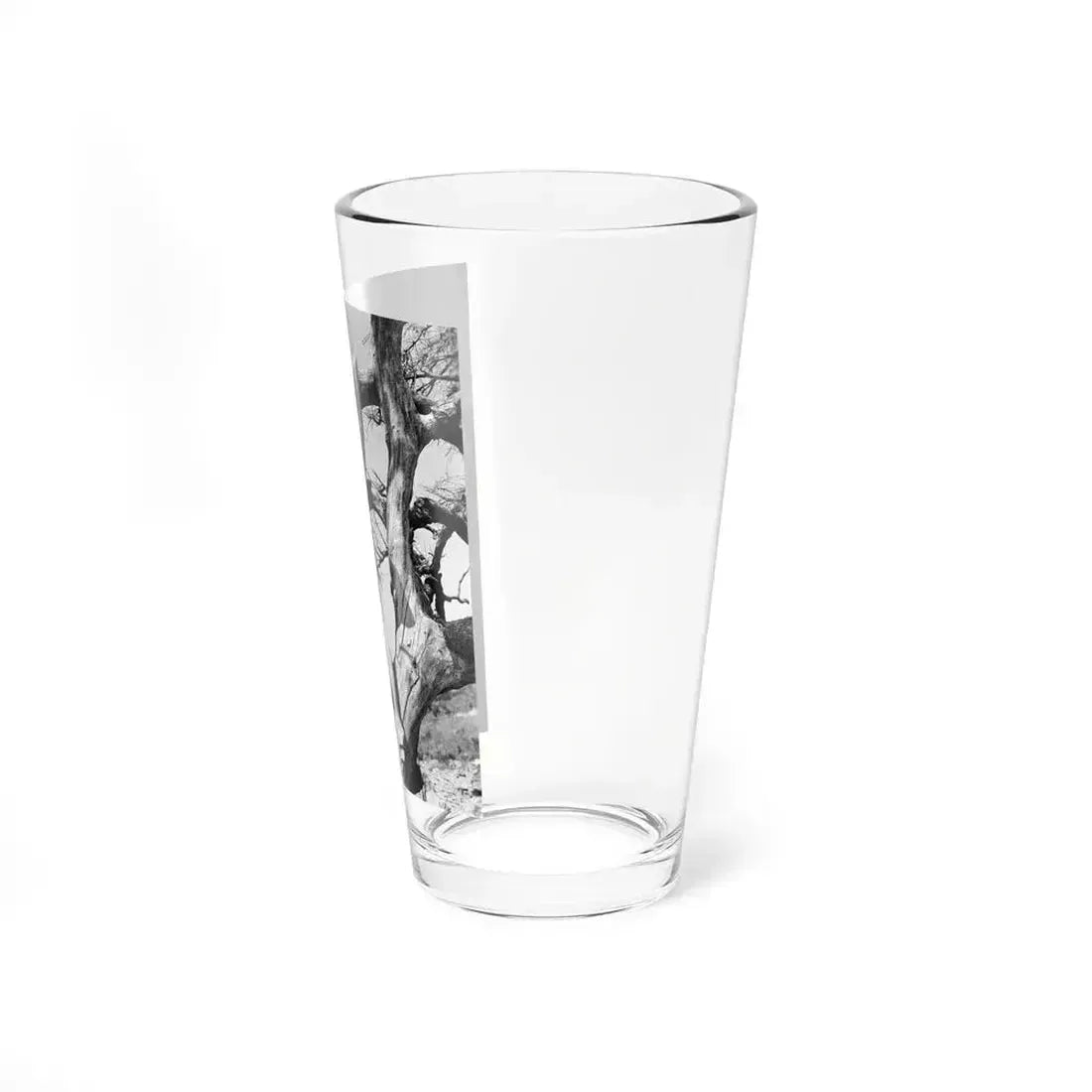 Beverly Garland #84 (Vintage Female Icon) Pint Glass 16oz - Go Mug Yourself