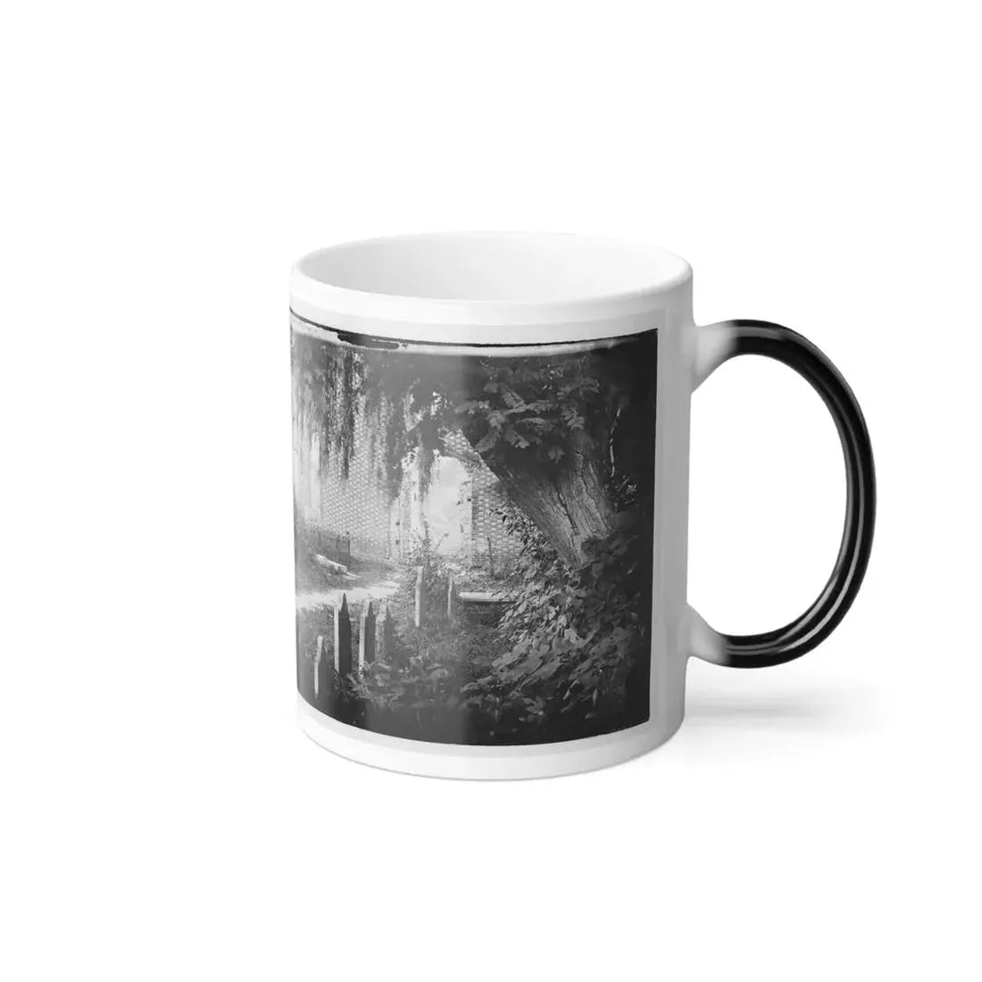 Churchyard With Graves (U.S. Civil War) Color Changing Coffee Mug 11oz - Go Mug Yourself