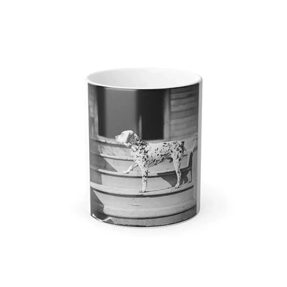 City Point, Virginia. General Rufus Ingall's Coach Dog (U.S. Civil War) Color Changing Coffee Mug 11oz Default Title 11oz - Go Mug Yourself