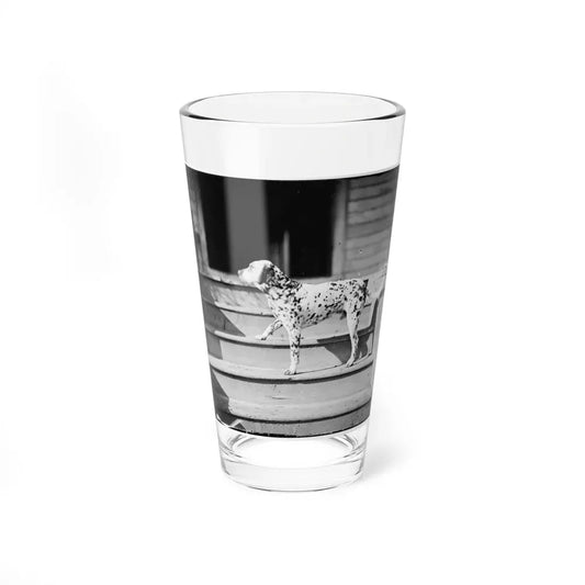 City Point, Virginia. General Rufus Ingall's Coach Dog (U.S. Civil War) Pint Glass 16oz 16oz - Go Mug Yourself