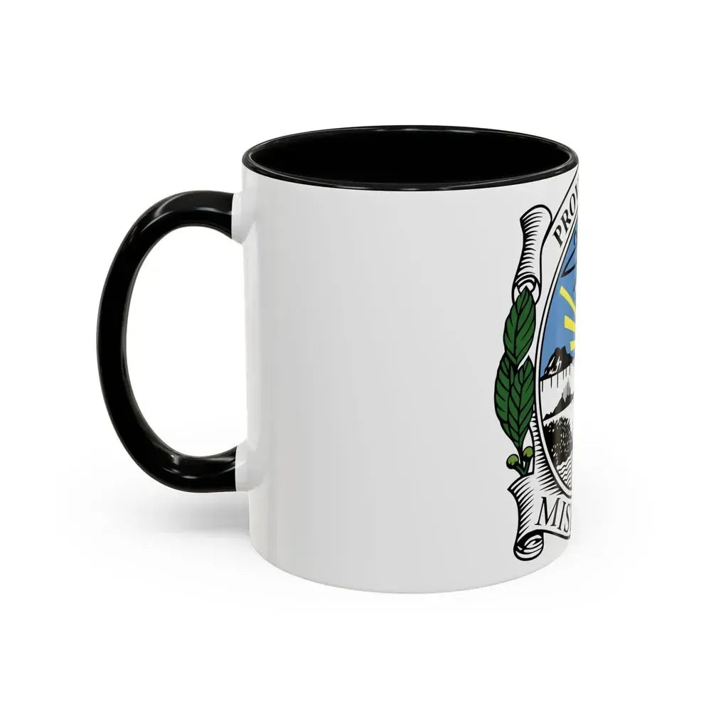 Coat of Arms Misiones Argentina - Accent Coffee Mug - Go Mug Yourself