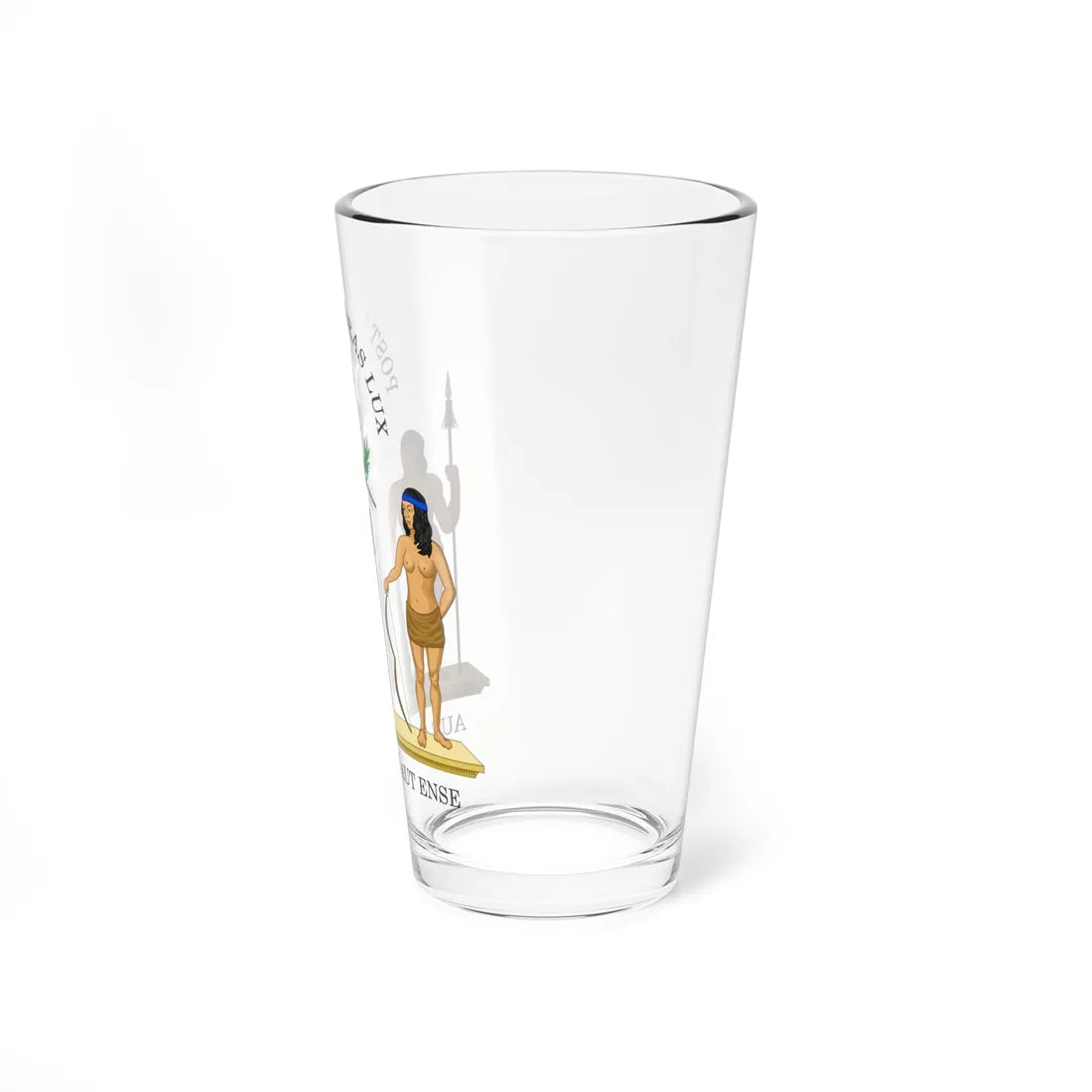 Coat of Arms of Chile 1812-1814 (Chile) (Coat of Arms) Pint Glass 16oz - Go Mug Yourself