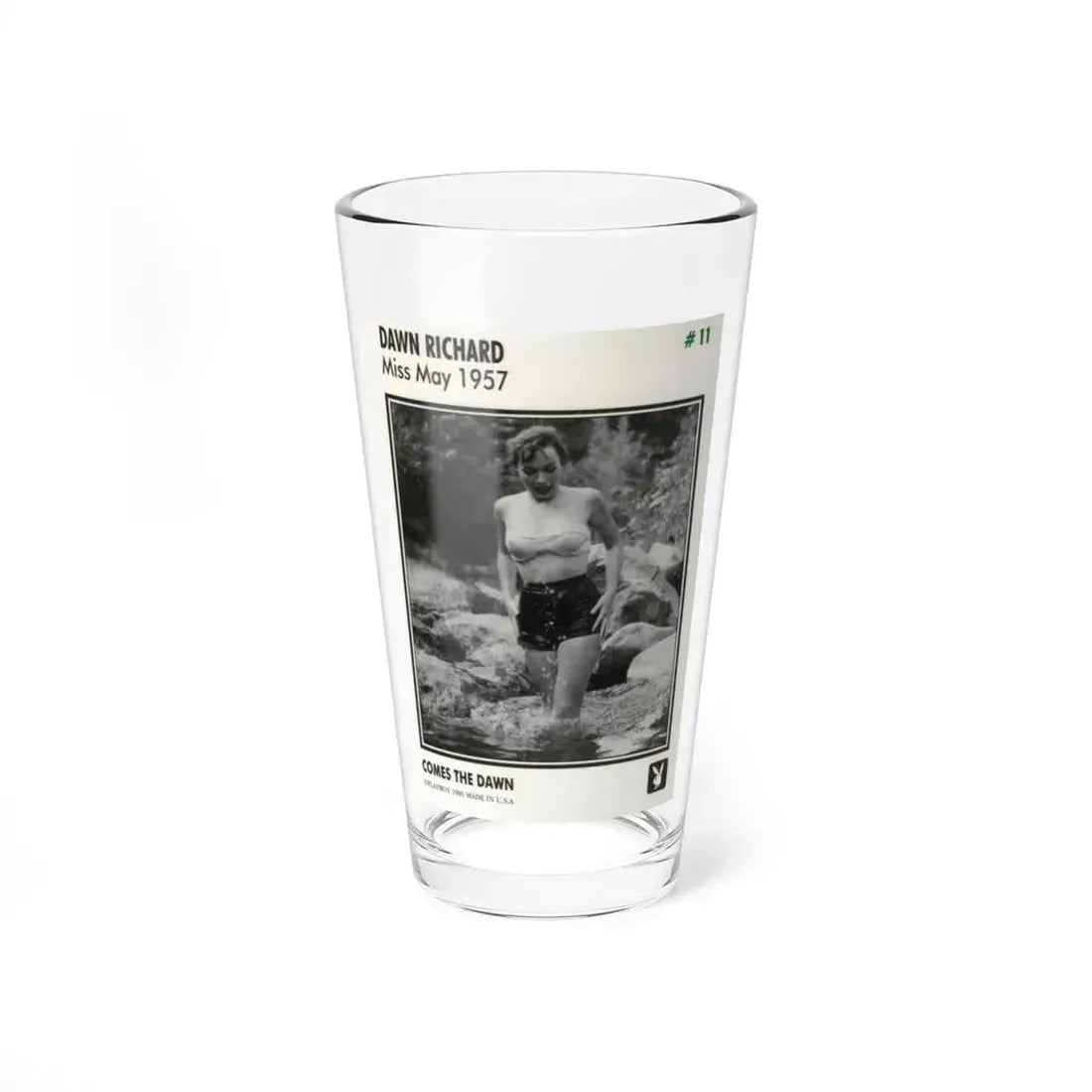 Dawn Richard #108 - Dawn on 2.5x3.5 Playboy Collector Card (Vintage Female Icon) Pint Glass 16oz 16oz - Go Mug Yourself