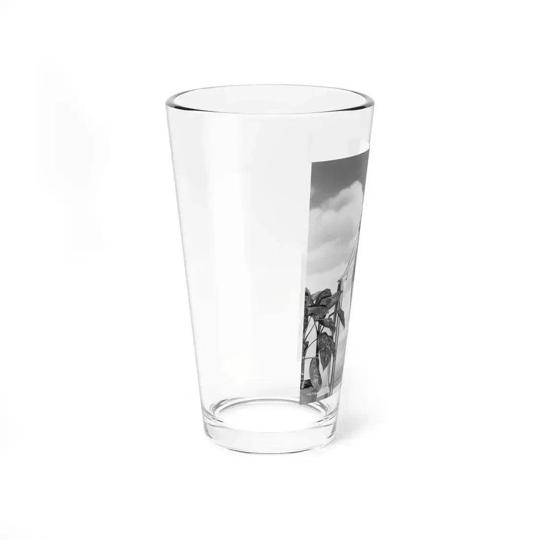 Doris Day #118 (Vintage Female Icon) Pint Glass 16oz - Go Mug Yourself