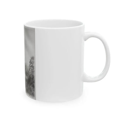 Elaine Stewart #164 - Negative Struck B&W 8x10 50's Era Full Body 1 Piece Swimsuit Cheesecake HQ Photo (Vintage Female Icon) White Coffee Mug - Go Mug Yourself