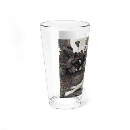 Faith Domergue #75 (Vintage Female Icon) Pint Glass 16oz - Go Mug Yourself