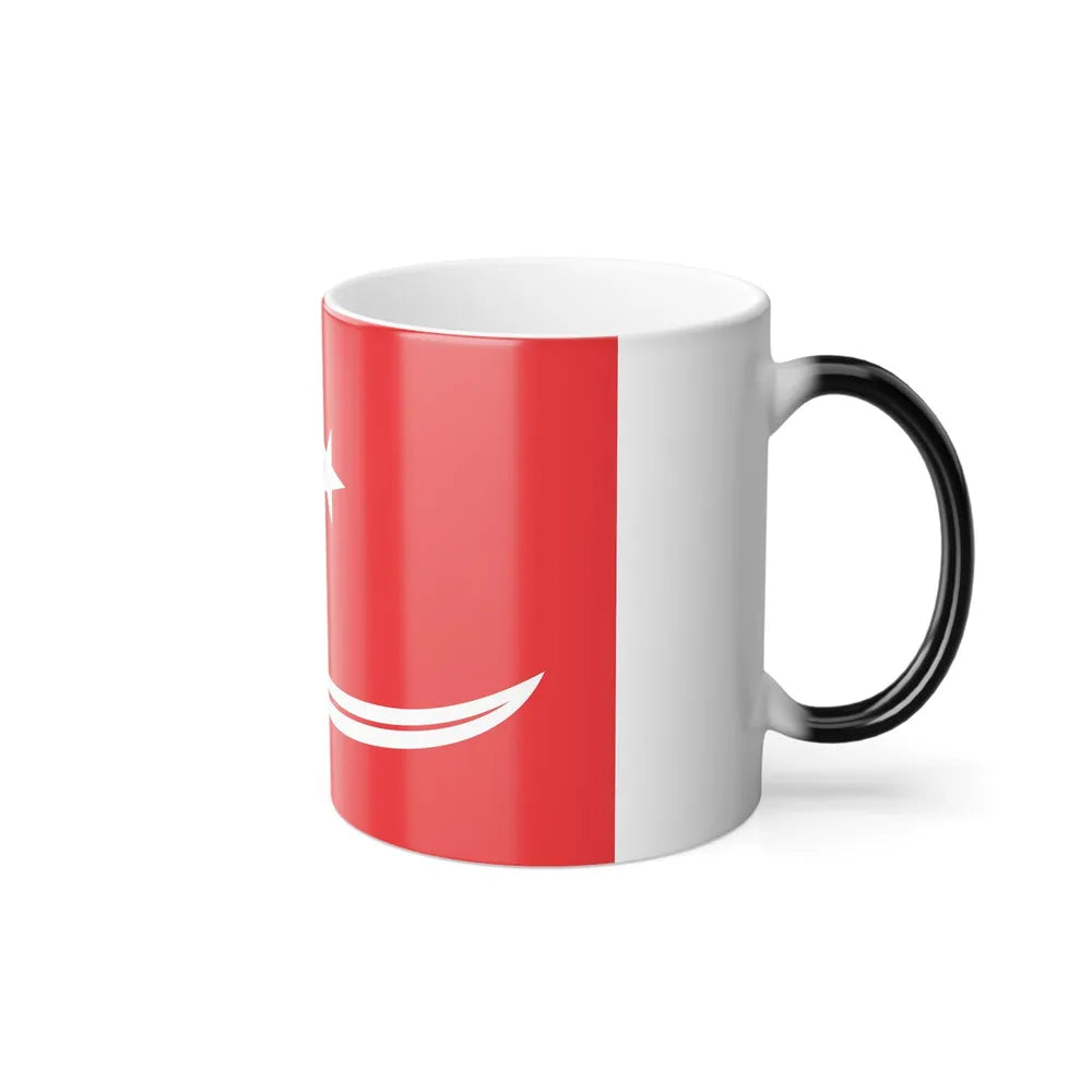 Flag of Aceh Sultanate Malaysia - Color Changing Coffee Mug-Go Mug Yourself