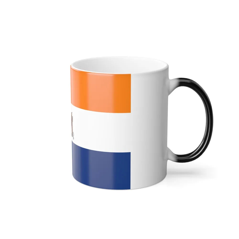 Flag of Albany, New York - Color Changing Coffee Mug-Go Mug Yourself