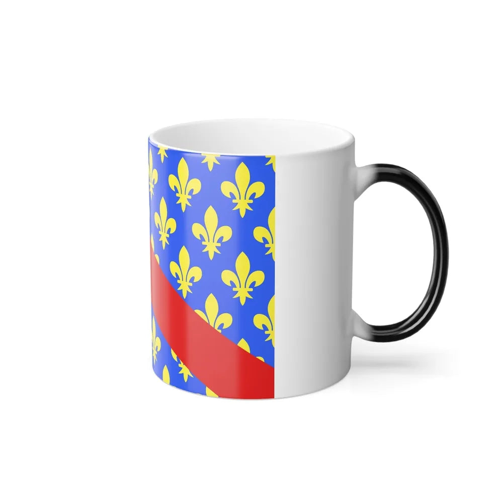 Flag of Allier France 2 - Color Changing Mug 11oz-Go Mug Yourself