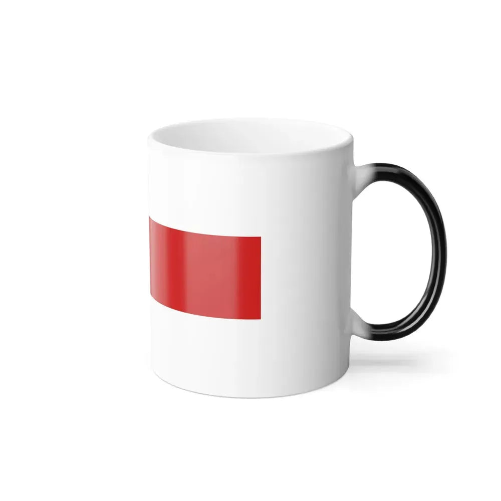 Flag of Amazonas Brazil - Color Changing Coffee Mug - Go Mug Yourself