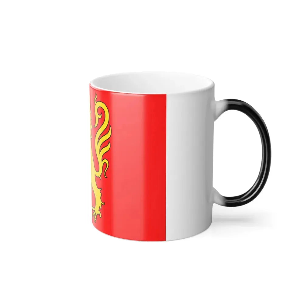 Flag of Aveyron France - Color Changing Coffee Mug - Go Mug Yourself