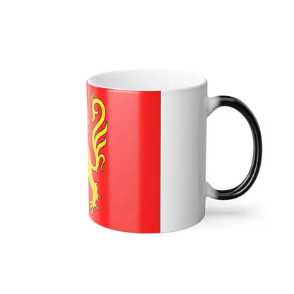 Flag of Aveyron France - Color Changing Coffee Mug - Go Mug Yourself