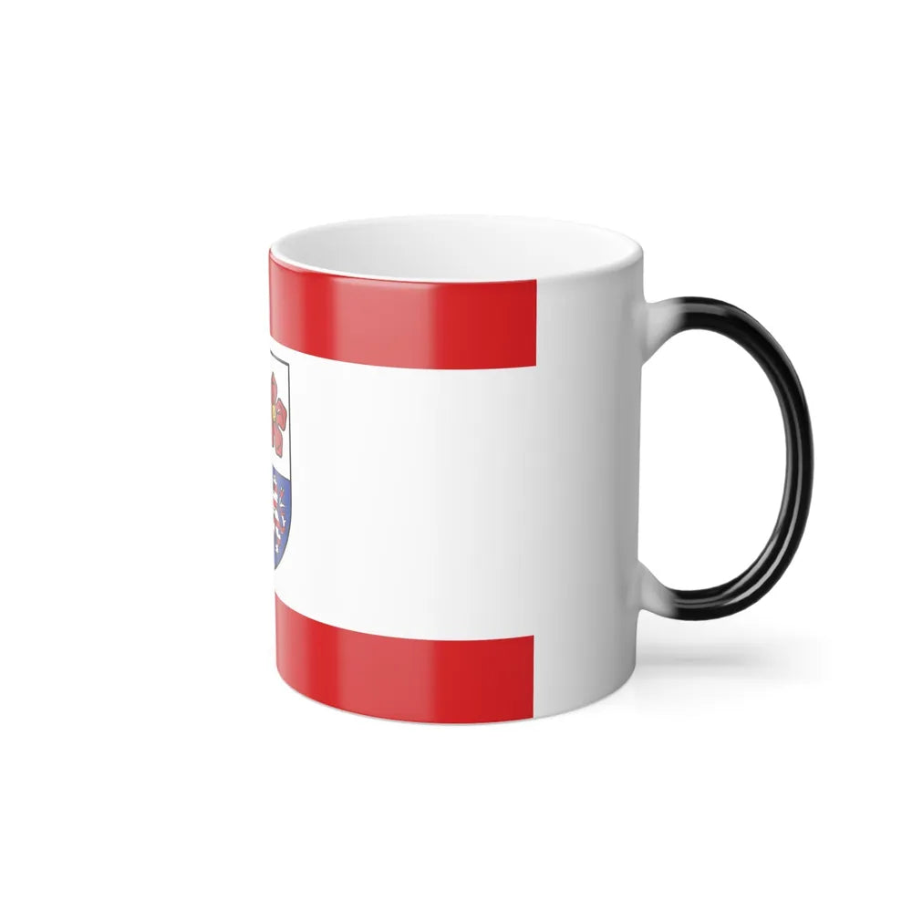 Flag of Bergstrasse Germany - Color Changing Coffee Mug-Go Mug Yourself