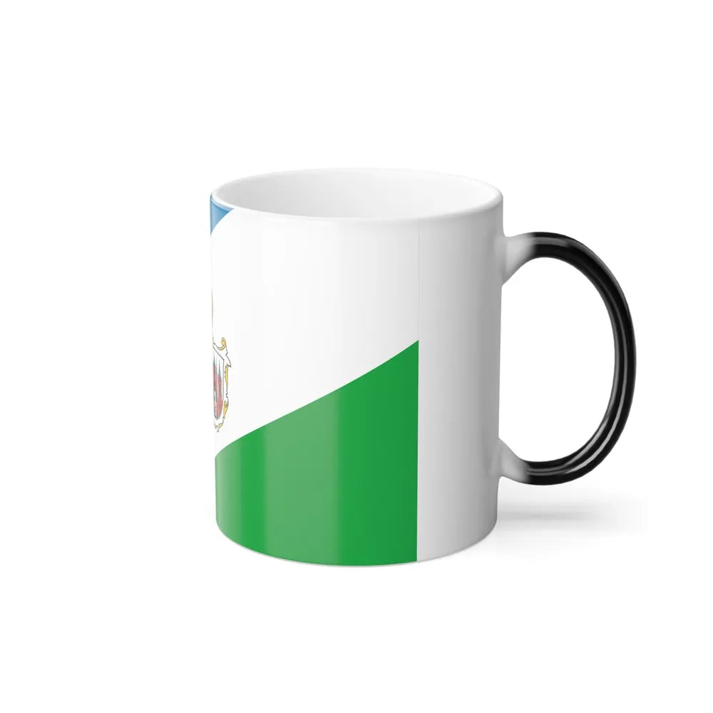 Flag of Brandenburg an der Havel Germany - Color Changing Coffee Mug-Go Mug Yourself