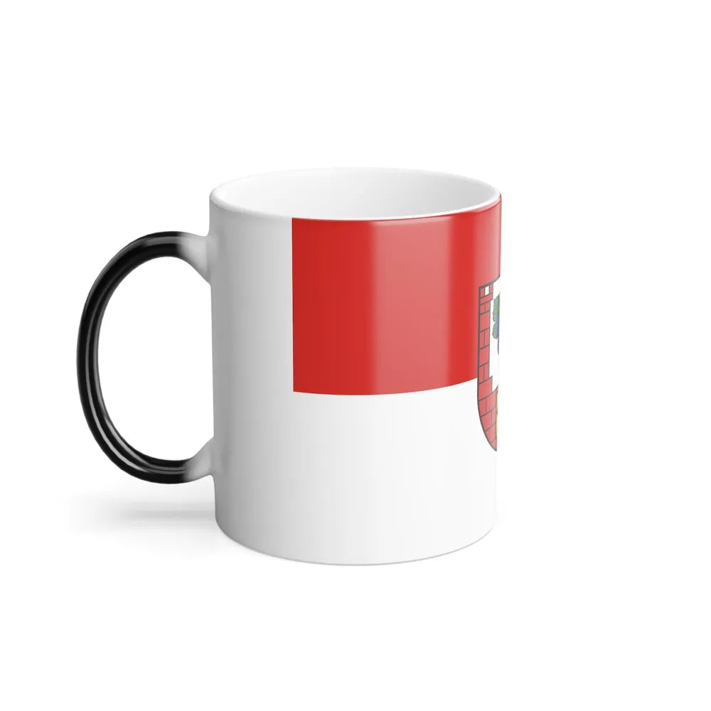 Flag of Burgenlandkreis Germany - Color Changing Coffee Mug-Go Mug Yourself