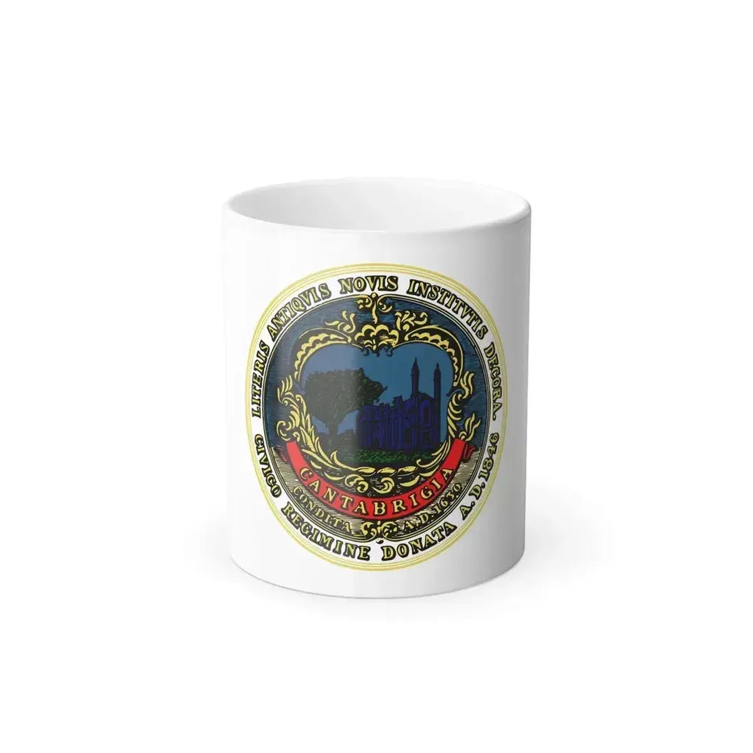 Flag of Cambridge, Massachusetts - Color Changing Coffee Mug 11oz - Go Mug Yourself