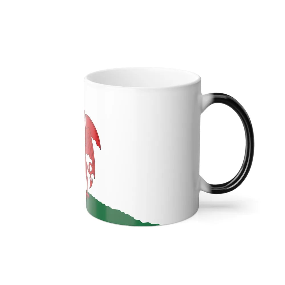 Flag of Cardiff UK - Color Changing Coffee Mug-Go Mug Yourself