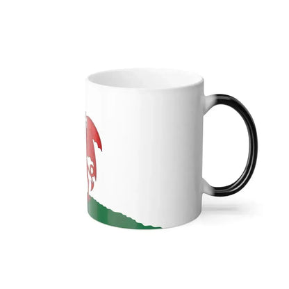 Flag of Cardiff UK - Color Changing Coffee Mug - Go Mug Yourself