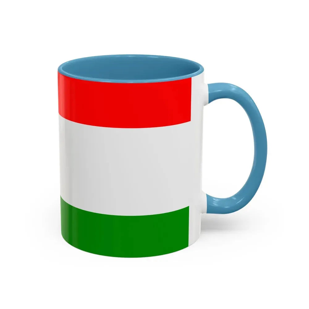 Flag of Central Bosnia Canton Bosnia and Herzegovina - Accent Coffee Mug - Go Mug Yourself
