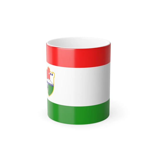 Flag of Central Bosnia Canton Bosnia and Herzegovina - Color Changing Coffee Mug-11oz-Go Mug Yourself