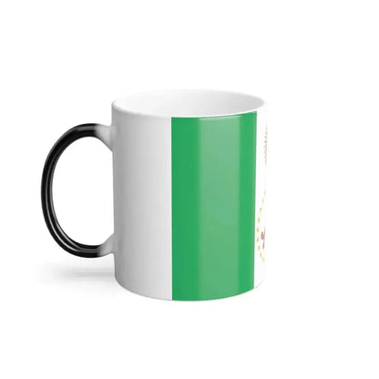 Flag of Chaco Province Argentina - Color Changing Coffee Mug - Go Mug Yourself