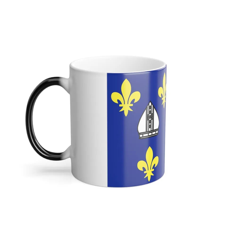 Flag of Charente Maritime France 2 - Color Changing Coffee Mug-Go Mug Yourself