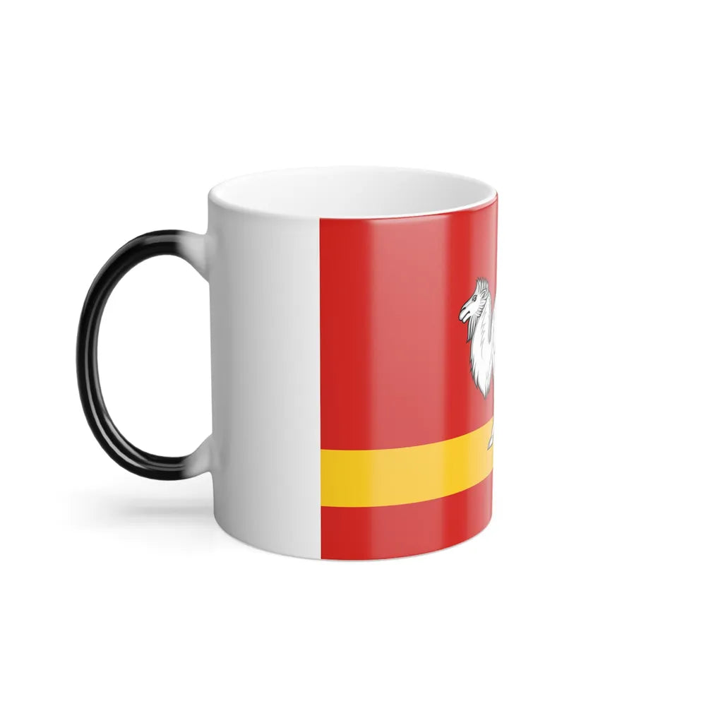 Flag of Chelyabinsk Oblast Russia - Color Changing Coffee Mug-Go Mug Yourself