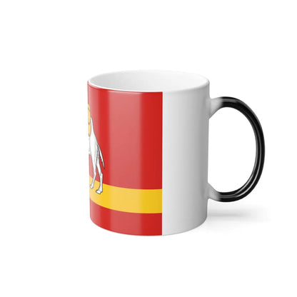 Flag of Chelyabinsk Oblast Russia - Color Changing Coffee Mug-Go Mug Yourself