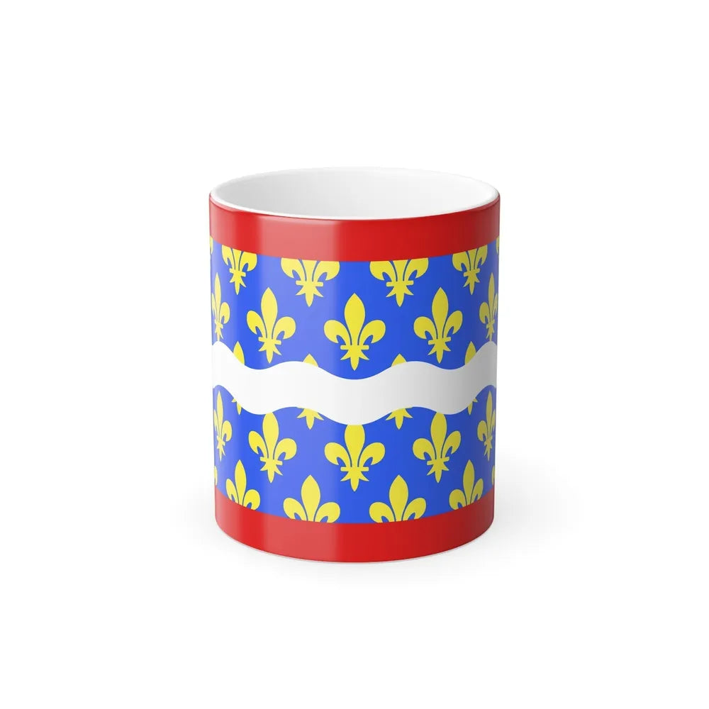 Flag of Cher France - Color Changing Coffee Mug-11oz-Go Mug Yourself