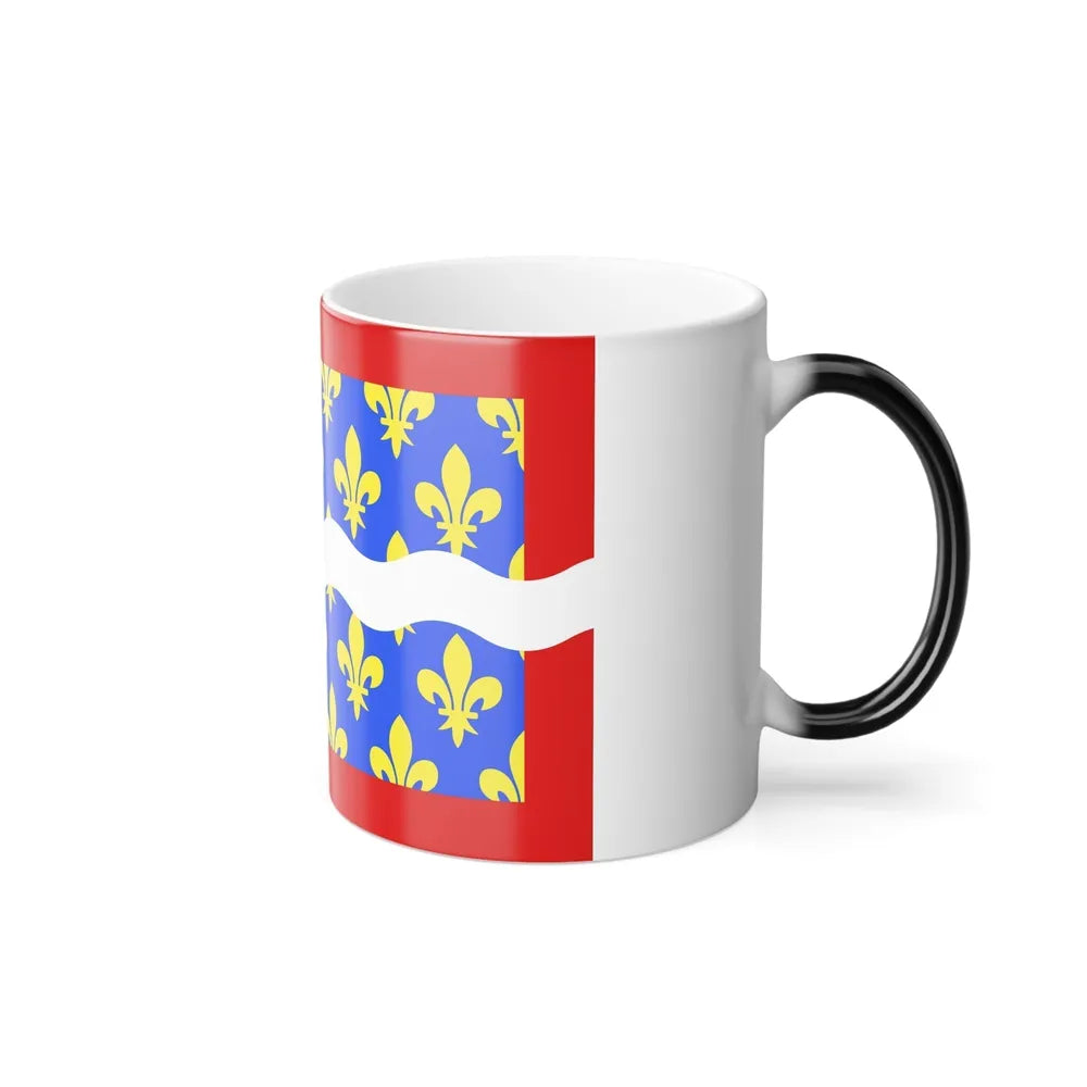 Flag of Cher France - Color Changing Coffee Mug-Go Mug Yourself