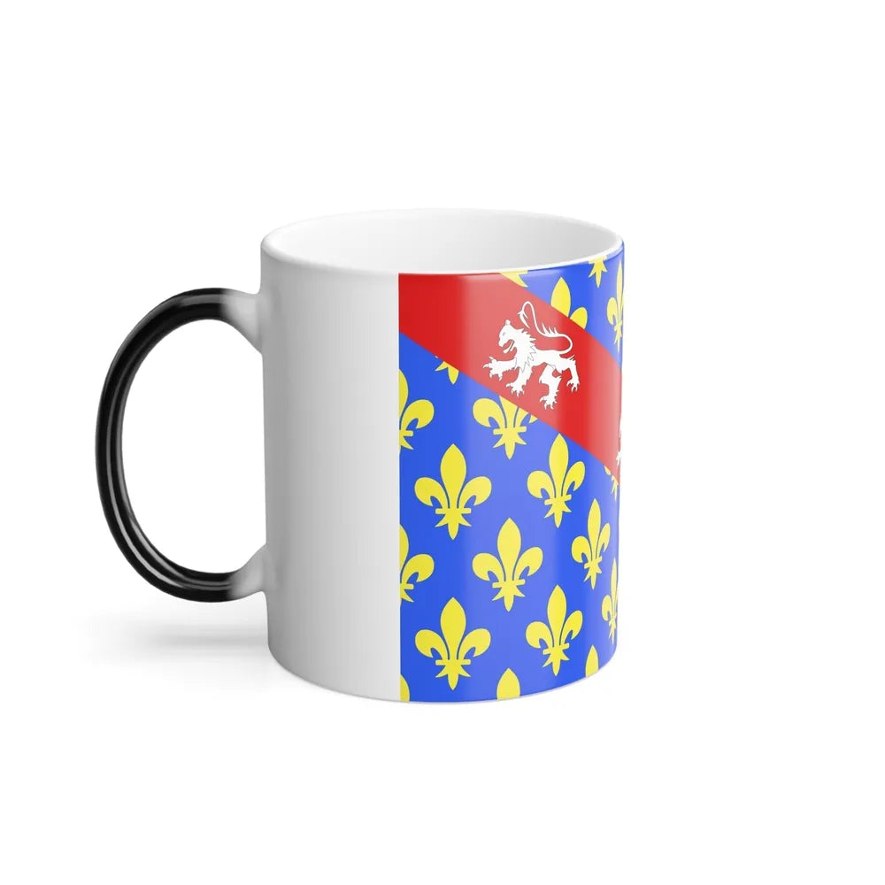 Flag of Creuse France - Color Changing Coffee Mug-Go Mug Yourself