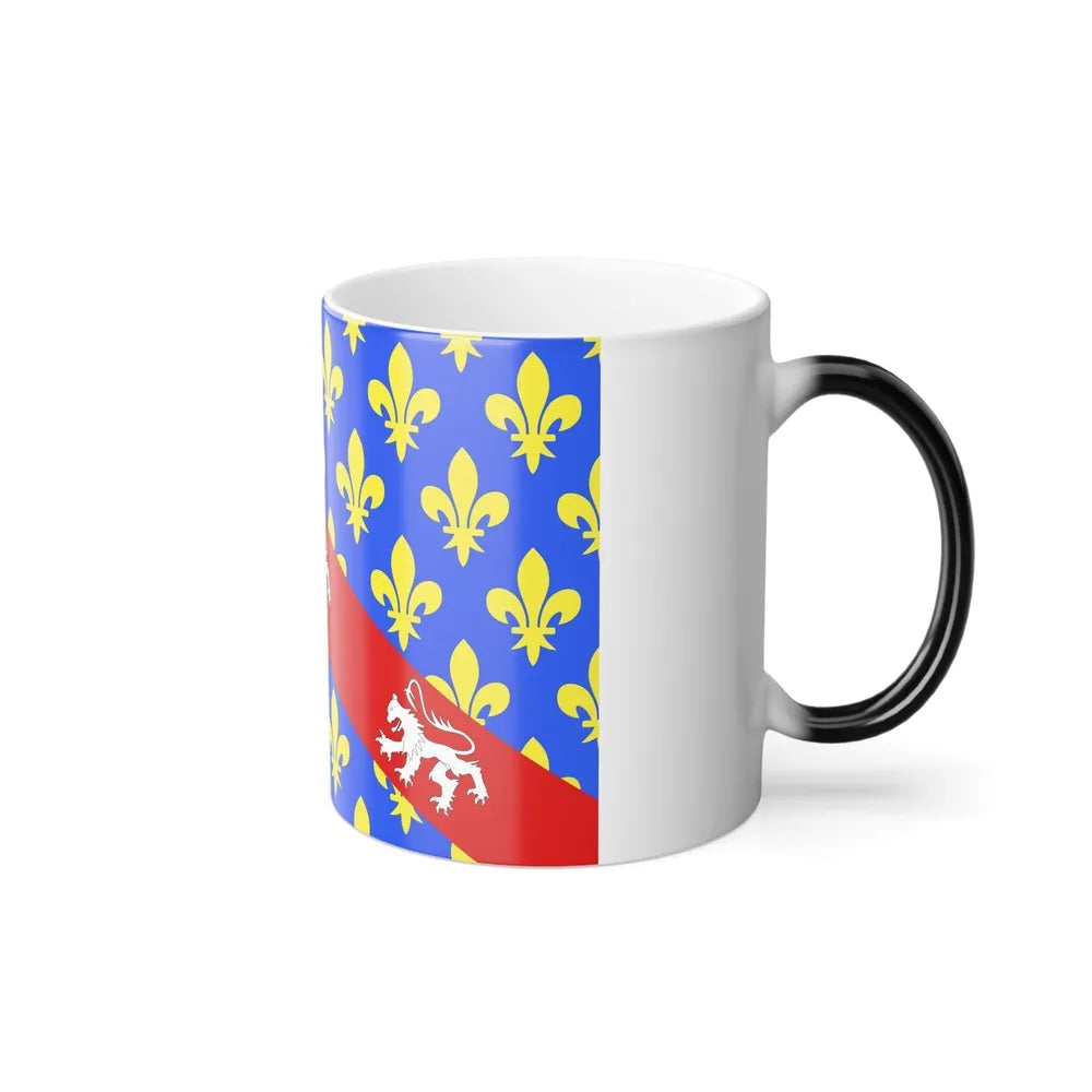 Flag of Creuse France - Color Changing Coffee Mug-Go Mug Yourself