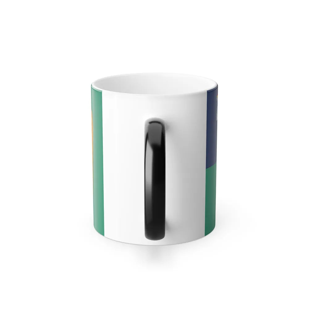 Flag of Dublin City Ireland - Color Changing Coffee Mug-Go Mug Yourself