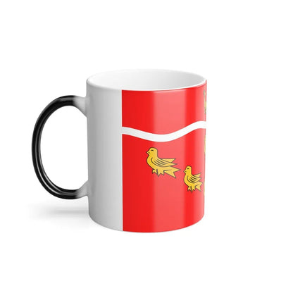 Flag of East Sussex UK - Color Changing Coffee Mug-Go Mug Yourself