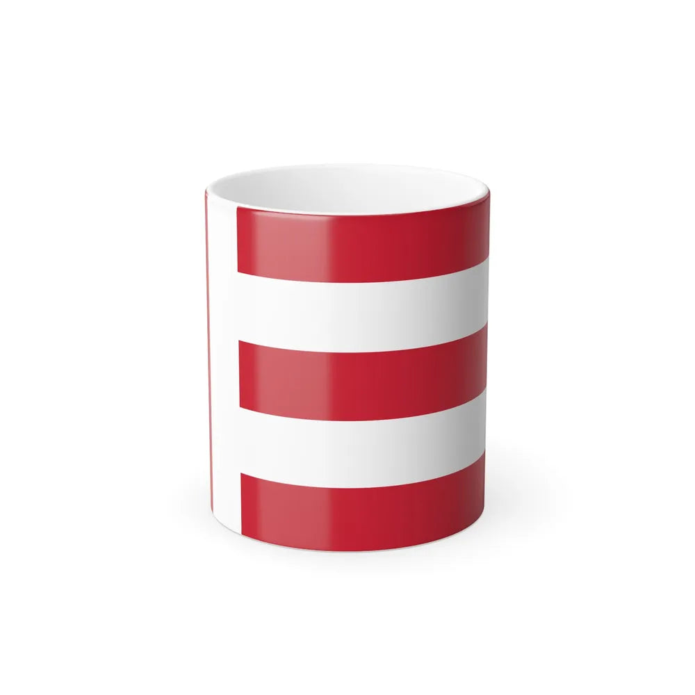 Flag of Eindhoven the largest city of the province of North Brabant Netherlands - Color Changing Coffee Mug-11oz-Go Mug Yourself