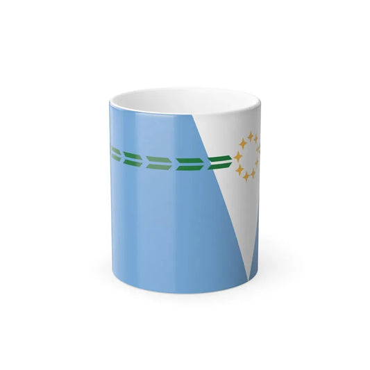 Flag of Formosa Province Argentina - Color Changing Coffee Mug 11oz - Go Mug Yourself