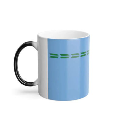 Flag of Formosa Province Argentina - Color Changing Coffee Mug - Go Mug Yourself