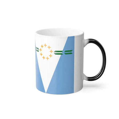 Flag of Formosa Province Argentina - Color Changing Coffee Mug - Go Mug Yourself