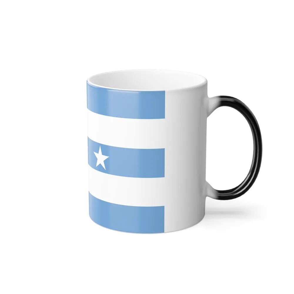 Flag of Guayaquil Ecuador - Color Changing Coffee Mug-Go Mug Yourself