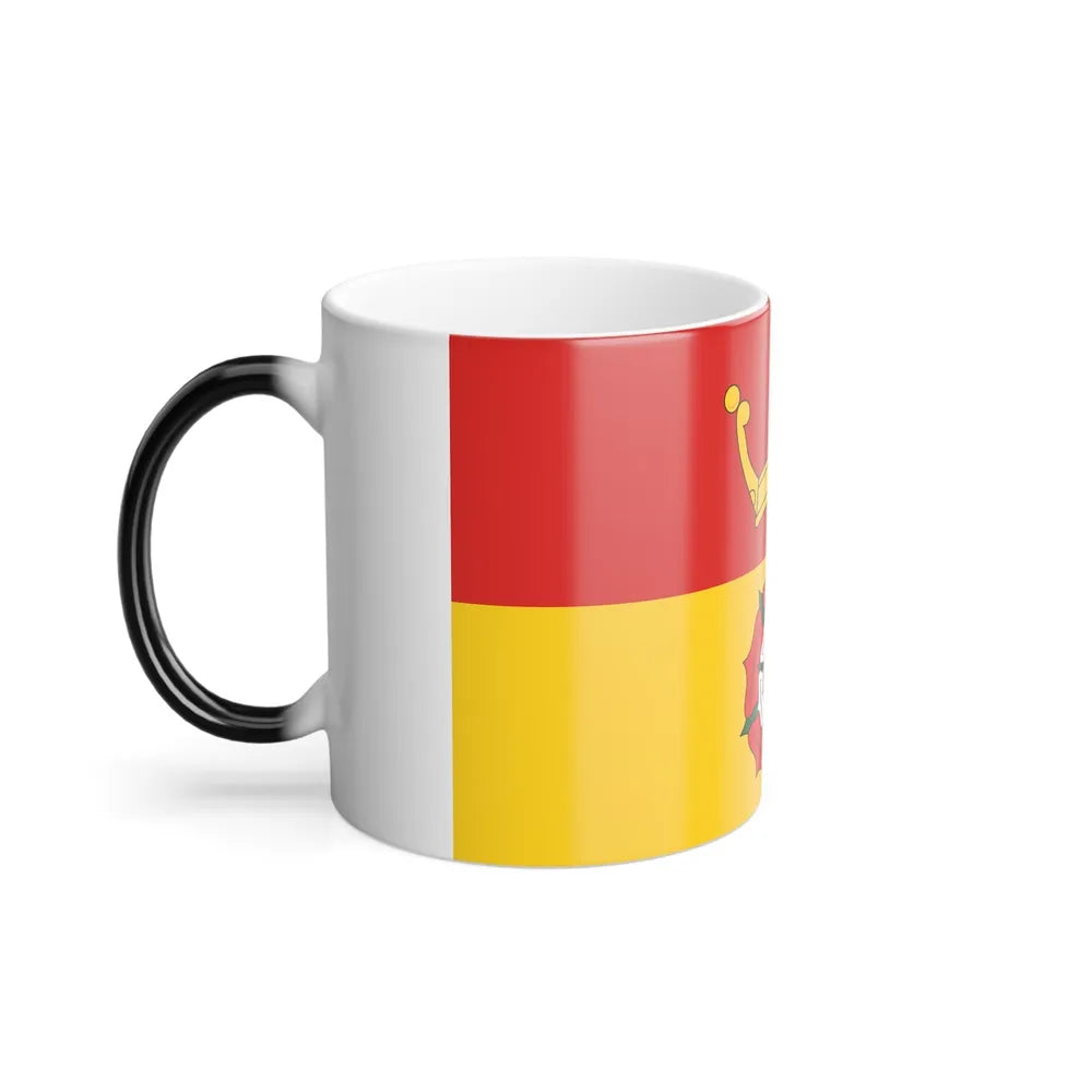 Flag of Hampshire UK - Color Changing Coffee Mug-Go Mug Yourself