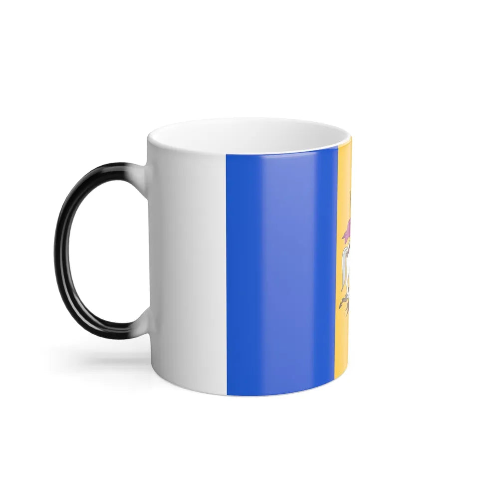 Flag of Kyiv Oblast Ukraine - Color Changing Coffee Mug-Go Mug Yourself